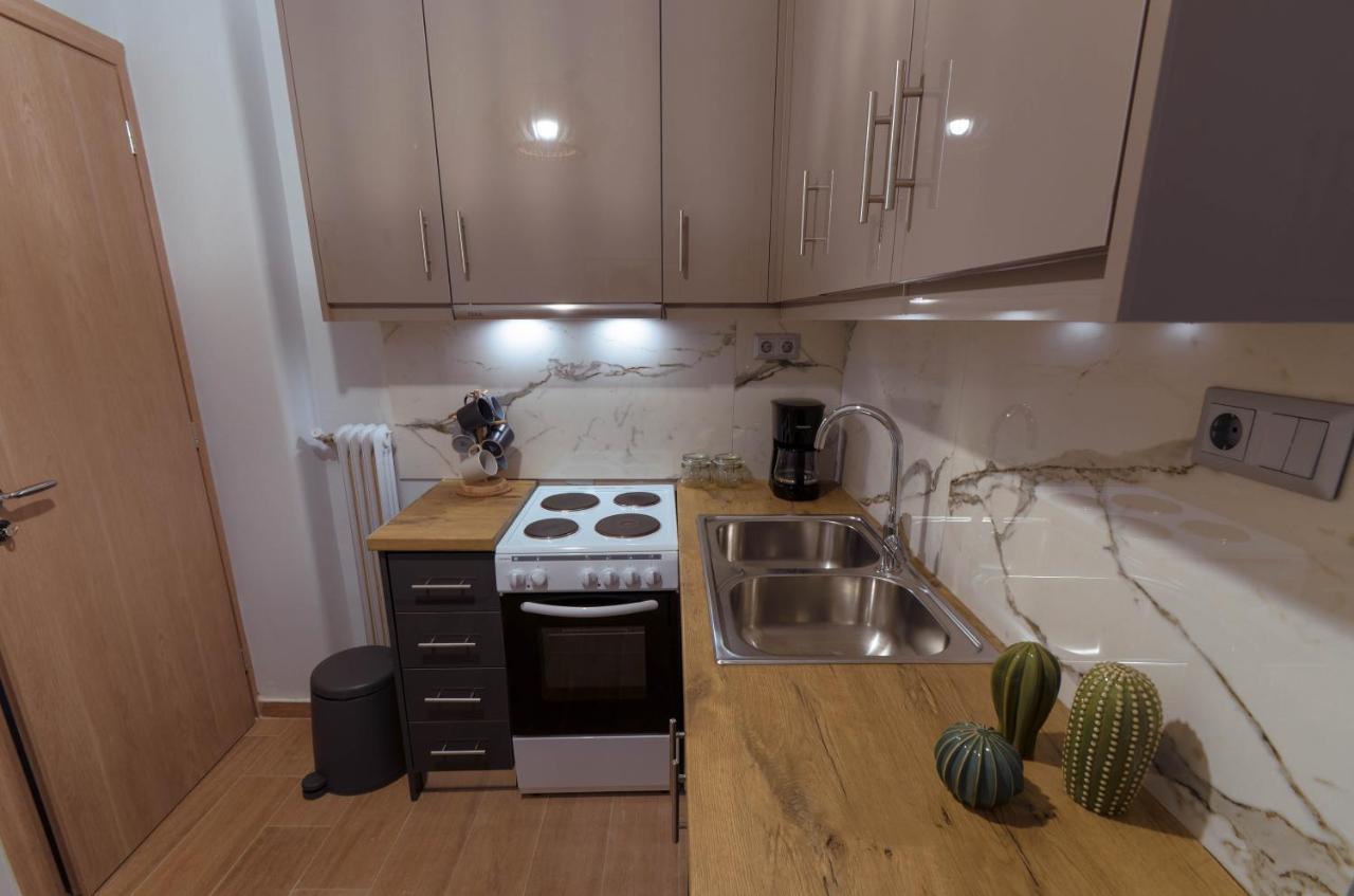 Adorable 2 Bedroom Apartment Close To Ancient Athens City Center Dış mekan fotoğraf